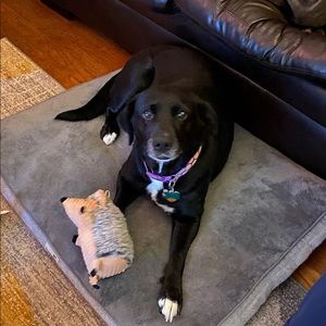 Meet your Posher, Natalie